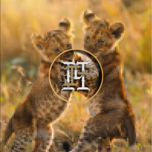 Lion 2 Cubs Playing PK-1 photo 20
