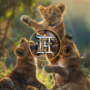 Lion 3 Cubs Playing PK-1 photo 12