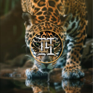 Jaguar Reflection PK-1 photo 19