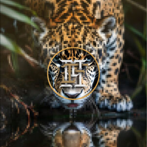 Jaguar Reflection PK-1 photo 07